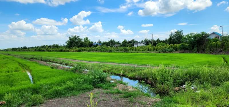 ไม่พบโครงการ, Nakhon Nayok, , Srisa Krabu, Ongkharak, Nakhon Nayok, , 35,932 sqm, Land For Sale, by Phanitchaya Yossala, 500506105 - DDproperty.com