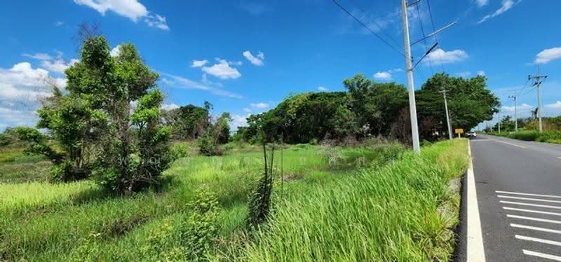 ไม่พบโครงการ, Nakhon Nayok, , Ongkharak, Nakhon Nayok, , 2,580 sqm, Land For Sale, by Phanitchaya Yossala, 500506113 - DDproperty.com