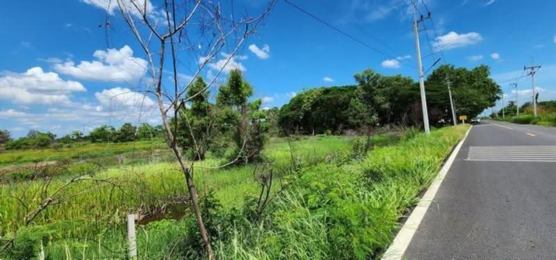 ไม่พบโครงการ, Nakhon Nayok, , Ongkharak, Nakhon Nayok, , 2,580 sqm, Land For Sale, by Phanitchaya Yossala, 500506113 - DDproperty.com