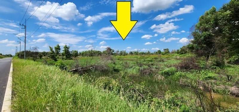 ไม่พบโครงการ, Nakhon Nayok, , Ongkharak, Nakhon Nayok, , 2,580 sqm, Land For Sale, by Phanitchaya Yossala, 500506113 - DDproperty.com