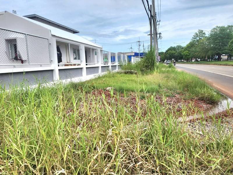 Shop for sale, Nakhon Ratchasima, Cho Ho, Muang Nakhon Ratchasima, Nakhon Ratchasima, , 210 sqm, Shophouse For Sale, by วิรณี, 500506121 - DDproperty.com