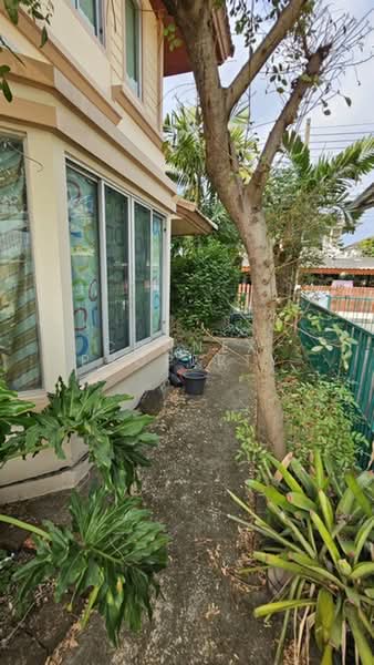 Pruek Lada Phutthasakorn, Samut Sakhon, Suan Luang, Krathum Baen, Samut Sakhon, 3 Bedrooms, 150 sqm, Single Detached House For Sale, by Connex Property, 500506142 - DDproperty.com