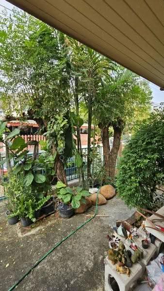 Pruek Lada Phutthasakorn, Samut Sakhon, Suan Luang, Krathum Baen, Samut Sakhon, 3 Bedrooms, 150 sqm, Single Detached House For Sale, by Connex Property, 500506142 - DDproperty.com