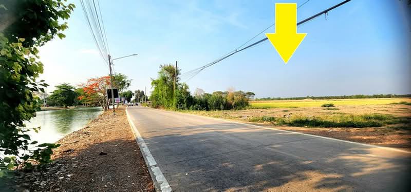 ไม่พบโครงการ, Pathum Thani, -, Khlong Hok, Khlong Luang, Pathum Thani, , 15,824 sqm, Land For Sale, by Phanitchaya Yossala, 500506222 - DDproperty.com
