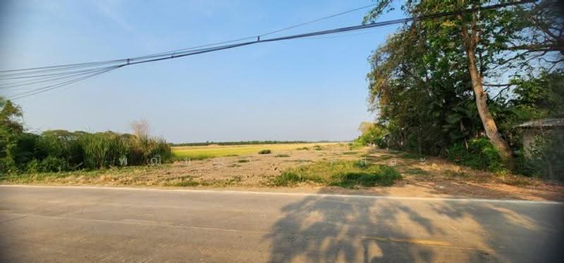 ไม่พบโครงการ, Pathum Thani, -, Khlong Hok, Khlong Luang, Pathum Thani, , 15,824 sqm, Land For Sale, by Phanitchaya Yossala, 500506222 - DDproperty.com