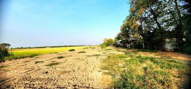 ไม่พบโครงการ, ปทุมธานี, -, คลองหก, คลองหลวง, ปทุมธานี, 15,824 ตร.ม., ที่ดิน ขาย, โดย พณิชญา ยศสละ, 500506222 - DDproperty.com