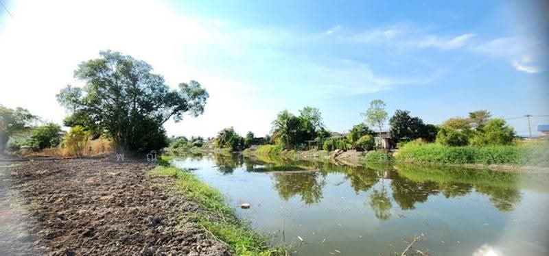 ไม่พบโครงการ, นครนายก, , องครักษ์, นครนายก, 1,620 ตร.ม., ที่ดิน ขาย, โดย พณิชญา ยศสละ, 500506269 - DDproperty.com