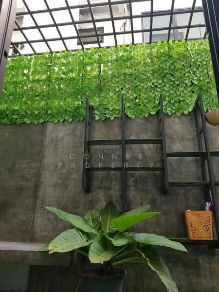 Leaton Town : เลอตัน ทาวน์, นนทบุรี, ซอย งามวงศ์วาน 23 แยก 15/2, บางกระสอ, เมืองนนทบุรี, นนทบุรี, 180 ตร.ม., ทาวน์เฮ้าส์ ขาย, โดย Connex Property, 500506301 - DDproperty.com