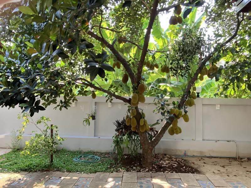 หมู่บ้านบ้านและสวน 2, กรุงเทพ, ศาลาธรรมสพน์, ทวีวัฒนา, กรุงเทพ, 508 ตร.ม., บ้านเดี่ยว ขาย, โดย วีรนุช จินาเพ็ญ, 500506355 - DDproperty.com