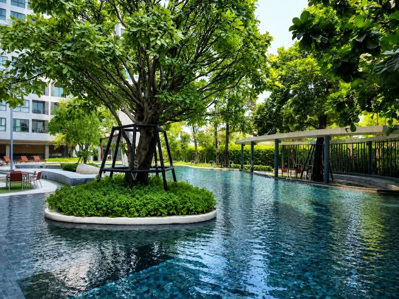 IDEO O2 Bangna, Bangkok, 195 Sanphawut Road, Bang Na Tai, Bang Na, Bangkok, 1 Bedroom, 32 sqm, Condo For Rent, by Shaporn Supvilaiphisan, 500506357 - DDproperty.com