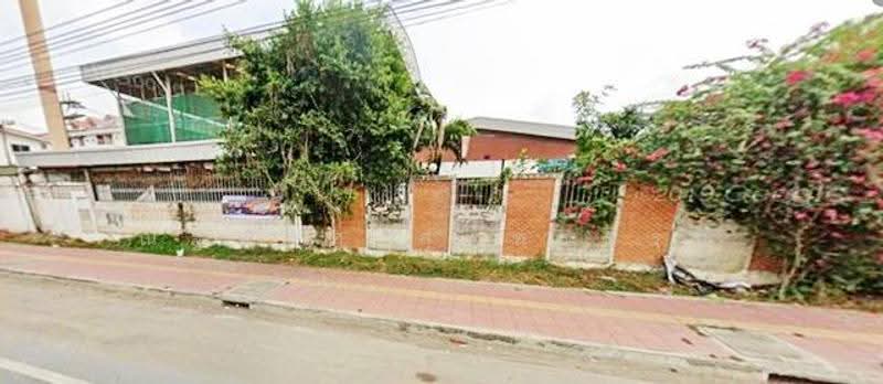 ไม่พบโครงการ, Pathum Thani, พระองค์เจ้าสาย คลอง 4, Lat Sawai, Lam Luk Ka, Pathum Thani, , 112,000 sqm, Land For Rent, by ณัฐพงศ์ สุนทรอรุณ, 500506441 - DDproperty.com