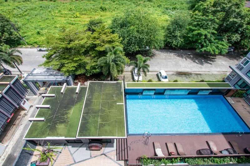 The Treasure Condominium by My Hip, Chiang Mai, 96 Chiang Mai Business Park Road (CBP) Soi 6, Nong Pa Krang, Muang Chiang Mai, Chiang Mai, 2 Bedrooms, 59 sqm, Condo For Sale, by คุณ รุ่งทิพย์, 500506446 - DDproperty.com