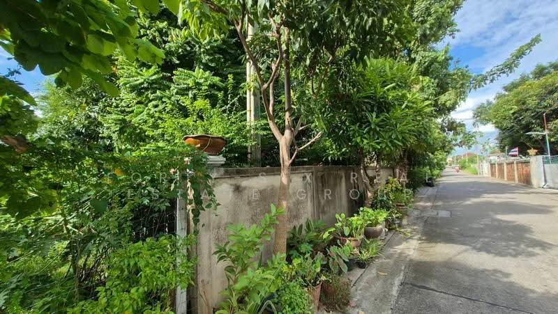 ขายที่ดิน ขนาด 197 ตร.วา ใกล้รถไฟฟ้า ย่านรามอินทรา, กรุงเทพ, อนุสาวรีย์, บางเขน, กรุงเทพ, 788 ตร.ม., ที่ดิน ขาย, โดย Forty-Six Real Estate Group, 500506448 - DDproperty.com