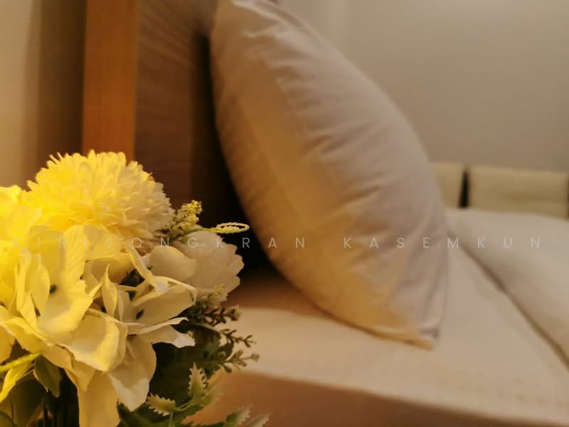 La Habana Hua Hin, Prachuap Khiri Khan, Soi Hua Hin 23, Nong Kae, Hua Hin, Prachuap Khiri Khan, 1 Bedroom, 26 sqm, Condo For Rent, by Sirisongkran Kasemkun, 500506478 - DDproperty.com