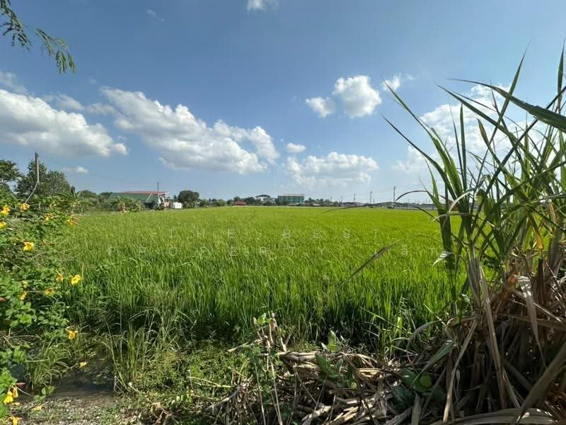 ที่ดินบางใหญ่ นนทบุรี, Nonthaburi, Sao Thong Hin, Bang Yai, Nonthaburi, , 8,000 sqm, Land For Sale, by The Best Property เล็ก, 500506528 - DDproperty.com
