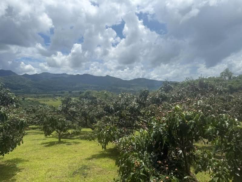 ที่ดินพร้าว เชียงใหม่, Chiang Mai, Nam Phrae, Phrao, Chiang Mai, , 20,408 sqm, Land For Sale, by The Best Property บอย, 500506536 - DDproperty.com
