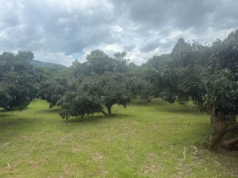 ที่ดินพร้าว เชียงใหม่, Chiang Mai, Nam Phrae, Phrao, Chiang Mai, , 20,408 sqm, Land For Sale, by The Best Property บอย, 500506536 - DDproperty.com