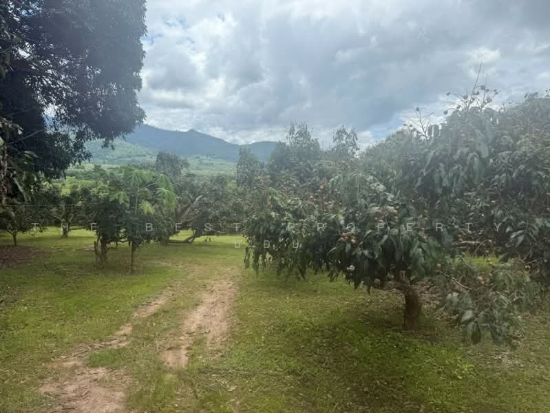 ที่ดินพร้าว เชียงใหม่, Chiang Mai, Nam Phrae, Phrao, Chiang Mai, , 20,408 sqm, Land For Sale, by The Best Property บอย, 500506536 - DDproperty.com