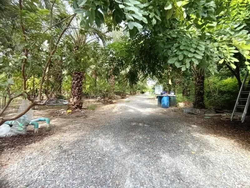 ที่ดินสองพี่น้อง สุพรรณบุรี, Suphan Buri, Bo Suphan, Song Phi Nong, Suphan Buri, , 19,718 sqm, Land For Sale, by The Best Property เปี๊ยก, 500506566 - DDproperty.com
