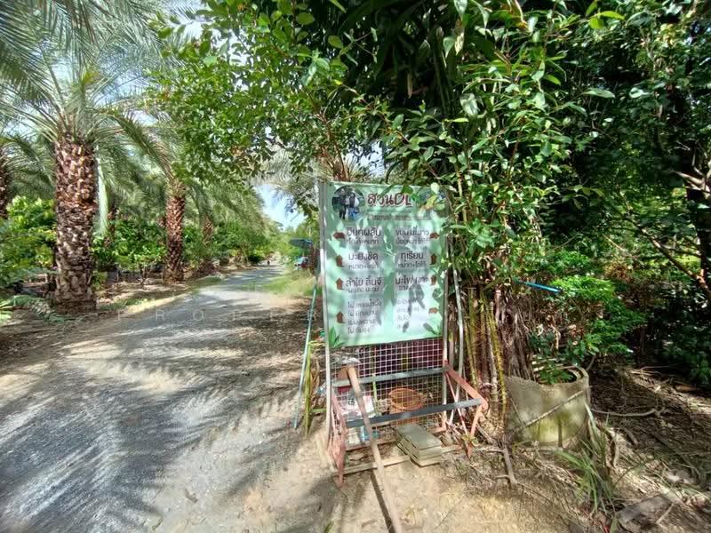 ที่ดินสองพี่น้อง สุพรรณบุรี, สุพรรณบุรี, บ่อสุพรรณ, สองพี่น้อง, สุพรรณบุรี, 19,718 ตร.ม., ที่ดิน ขาย, โดย The Best Property เปี๊ยก, 500506566 - DDproperty.com