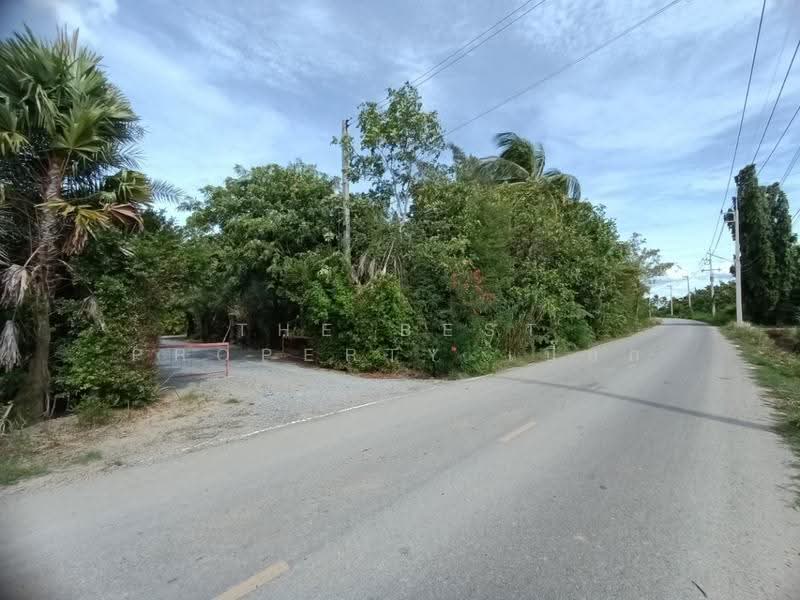 ที่ดินสองพี่น้อง สุพรรณบุรี, สุพรรณบุรี, บ่อสุพรรณ, สองพี่น้อง, สุพรรณบุรี, 19,718 ตร.ม., ที่ดิน ขาย, โดย The Best Property เปี๊ยก, 500506566 - DDproperty.com