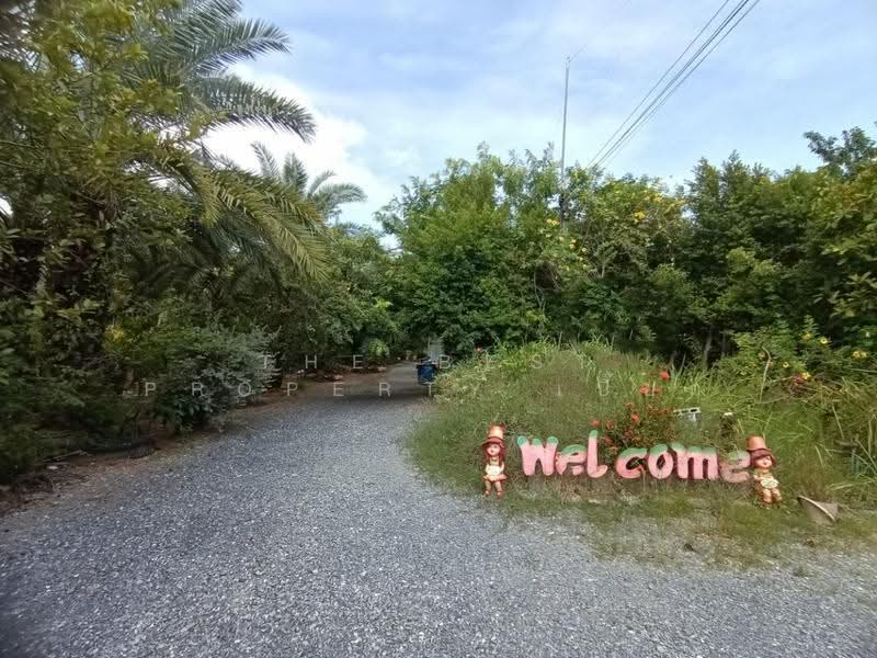 ที่ดินสองพี่น้อง สุพรรณบุรี, สุพรรณบุรี, บ่อสุพรรณ, สองพี่น้อง, สุพรรณบุรี, 19,718 ตร.ม., ที่ดิน ขาย, โดย The Best Property เปี๊ยก, 500506566 - DDproperty.com