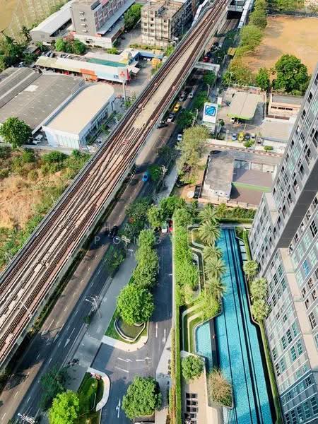 IDEO MOBI Sukhumvit Eastgate, Bangkok, 4371 Sukhumvit Road, Bang Na, Bang Na, Bangkok, 1 Bedroom, 31 sqm, Condo For Sale, by Thanakit Pongpit, 500506587 - DDproperty.com
