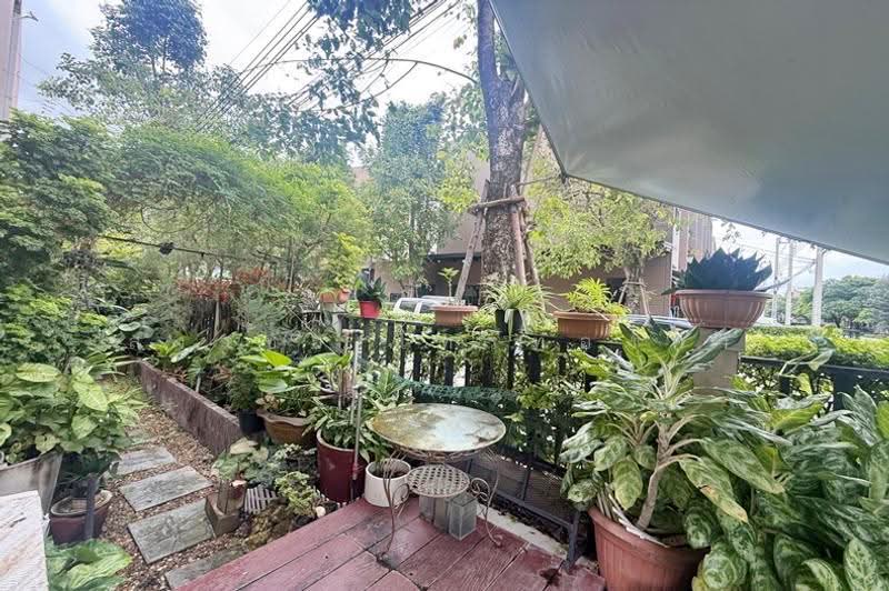 บ้านกลางเมือง บางนา-วงแหวน : Baan Klang Mueang Bangna-Wongwaen, สมุทรปราการ, บางพลีใหญ่, บางพลี, สมุทรปราการ, 152 ตร.ม., ทาวน์เฮ้าส์ ขาย, โดย สง่าชัย ไทรทองคำ, 500506592 - DDproperty.com