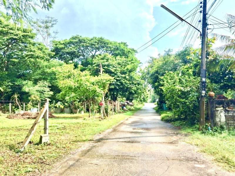 ที่ดินท่าเสา อุตรดิตถ์, Uttaradit, Tha Sao, Muang Uttaradit, Uttaradit, , 982 sqm, Land For Sale, by The Best Property เล็ก, 500506656 - DDproperty.com