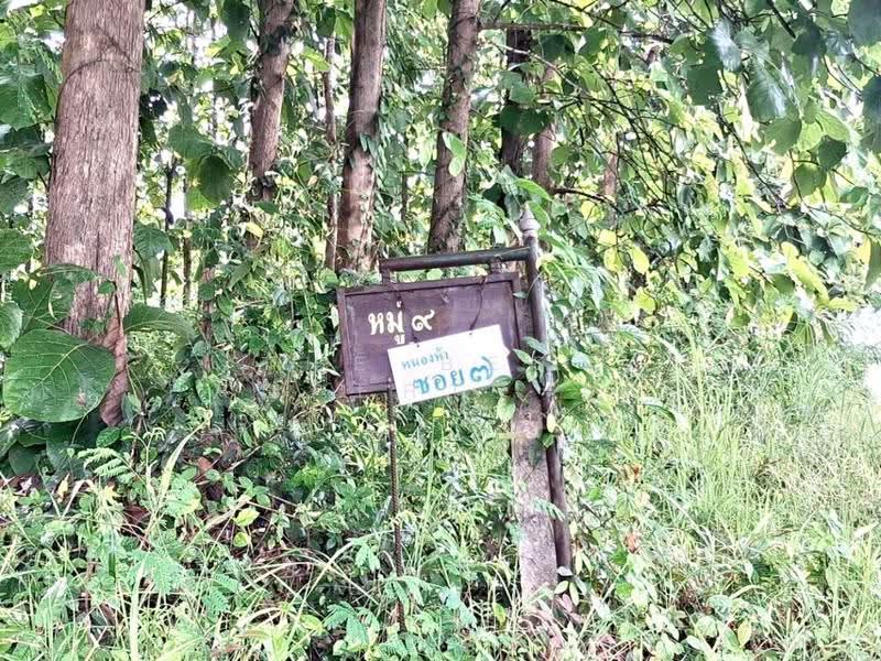 ที่ดินท่าเสา อุตรดิตถ์, อุตรดิตถ์, ท่าเสา, เมืองอุตรดิตถ์, อุตรดิตถ์, 982 ตร.ม., ที่ดิน ขาย, โดย The Best Property เล็ก, 500506656 - DDproperty.com