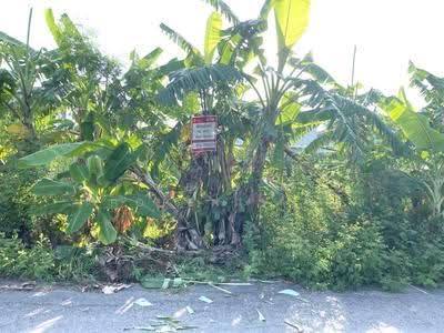 ขาย - ที่ดินพุทธมณฑล นครปฐม, นครปฐม
