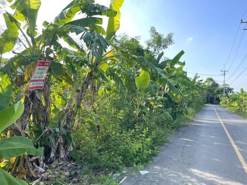 ที่ดินพุทธมณฑล นครปฐม, นครปฐม, ศาลายา, พุทธมณฑล, นครปฐม, 368 ตร.ม., ที่ดิน ขาย, โดย The Best Property แจ๊ส, 500506687 - DDproperty.com