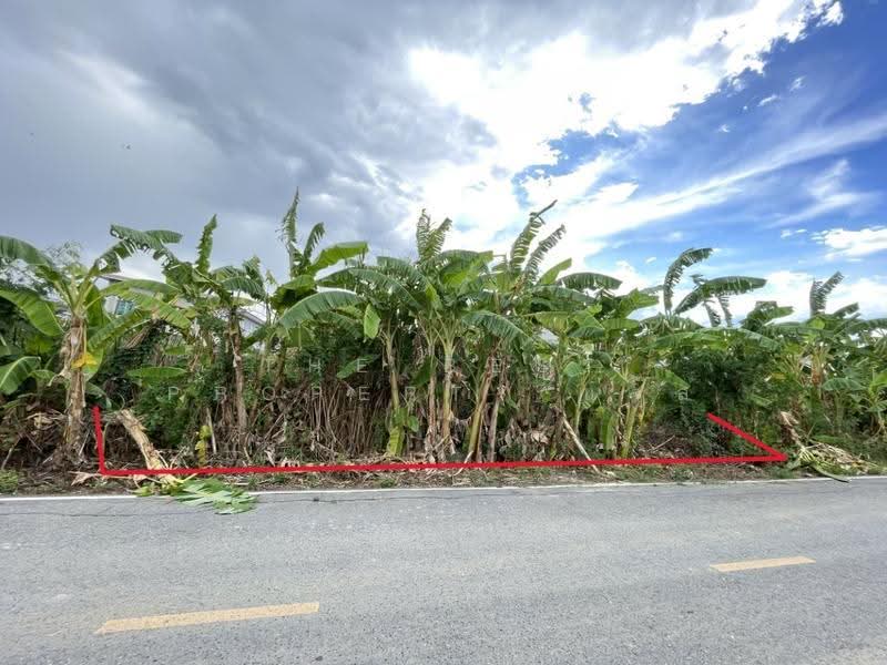 ที่ดินพุทธมณฑล นครปฐม, นครปฐม, ศาลายา, พุทธมณฑล, นครปฐม, 368 ตร.ม., ที่ดิน ขาย, โดย The Best Property แจ๊ส, 500506687 - DDproperty.com
