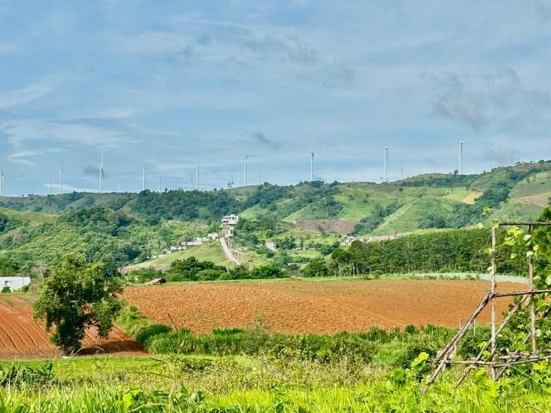 ที่ดินเขาค้อ เพชรบูรณ์, Phetchabun, Thung Samo, Khao Kho, Phetchabun, , 9,404 sqm, Land For Sale, by The Best Property มิน, 500506719 - DDproperty.com