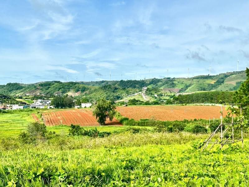 ที่ดินเขาค้อ เพชรบูรณ์, Phetchabun, Thung Samo, Khao Kho, Phetchabun, , 9,404 sqm, Land For Sale, by The Best Property มิน, 500506719 - DDproperty.com