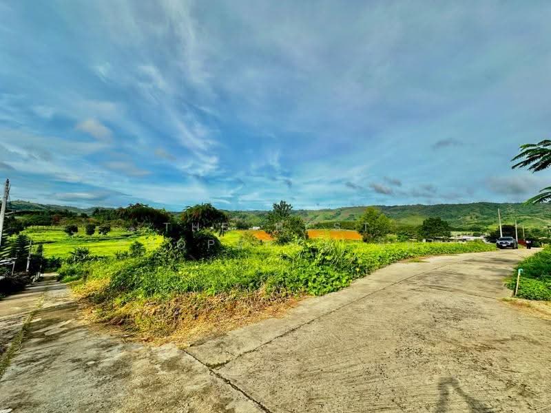 ที่ดินเขาค้อ เพชรบูรณ์, Phetchabun, Thung Samo, Khao Kho, Phetchabun, , 9,404 sqm, Land For Sale, by The Best Property มิน, 500506719 - DDproperty.com