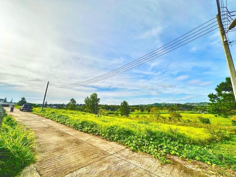 ที่ดินเขาค้อ เพชรบูรณ์, เพชรบูรณ์, ทุ่งสมอ, เขาค้อ, เพชรบูรณ์, 9,404 ตร.ม., ที่ดิน ขาย, โดย The Best Property มิน, 500506719 - DDproperty.com