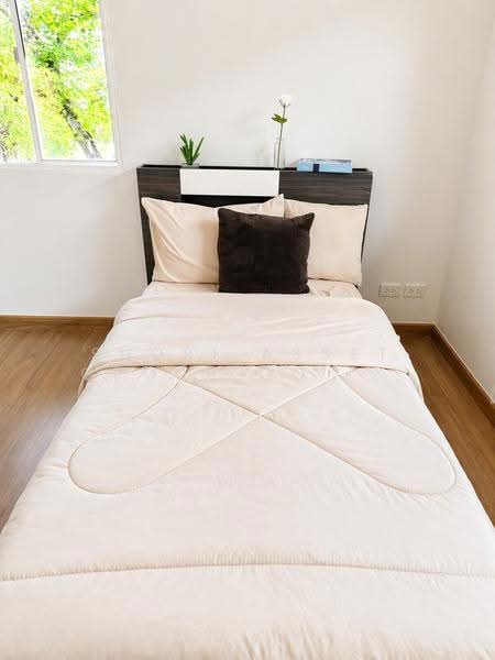 ThePlant Mahidol-Charoen-Mueang, Chiang Mai, San Ton Pao, San Kamphaeng, Chiang Mai, 3 Bedrooms, 230 sqm, Single Detached House For Rent, by Shori Asset Group Co., Ltd., 500506798 - DDproperty.com