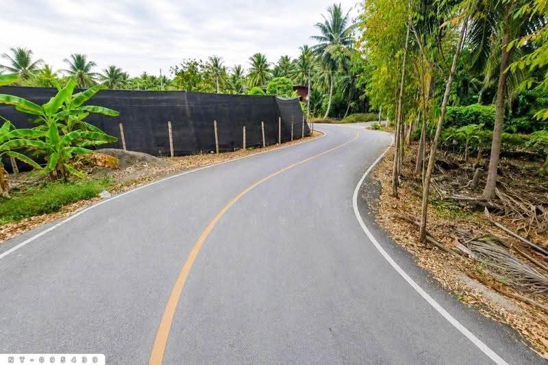 Land for sale in Damnoen Saduak, Ratchaburi, 1 rai 252.6 sq.w. NY-095439, Ratchaburi, Ta Luang, Damnoen Saduak, Ratchaburi, , 2,610 sqm, Land For Sale, by Benchawarin Pakkawetppisit, 500506851 - DDproperty.com