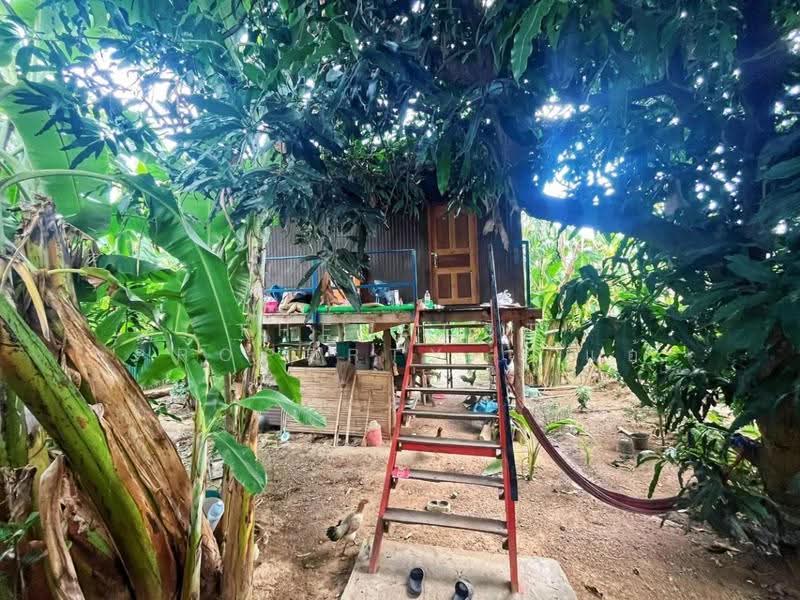 บ้านเดี่ยวพร้อมที่ดินหนองหญ้าไซ สุพรรณบุรี, Suphan Buri, Nong Pho, Nong Ya Sai, Suphan Buri, 2 Bedrooms, 150 sqm, Single Detached House For Sale, by The Best Property แอ้, 500506946 - DDproperty.com