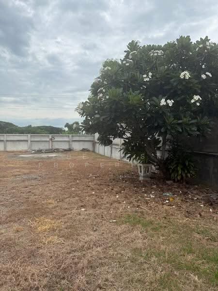 บ้านเดี่ยวเหมืองง่า ลำพูน, ลำพูน, เหมืองง่า, เมืองลำพูน, ลำพูน, 150 ตร.ม., บ้านเดี่ยว ขาย, โดย The Best Property  รัตน์, 500506966 - DDproperty.com