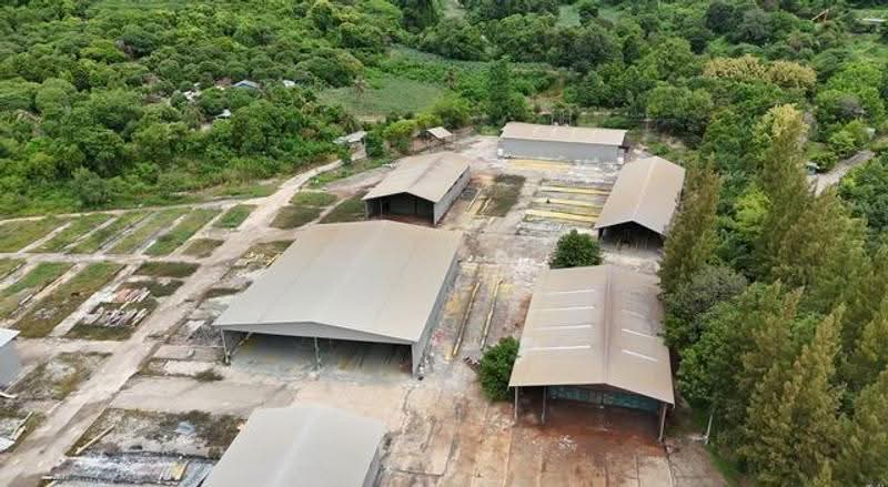 ที่ดิน เมืองระยอง 74-1-29 ไร่, Rayong, สุขุมวิท, Huai Pong, Muang Rayong, Rayong, , 118,916 sqm, Land For Sale, by ณัฎฐ์ ยศขุน, 500507030 - DDproperty.com
