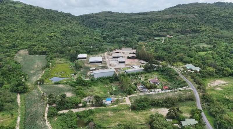ที่ดิน เมืองระยอง 74-1-29 ไร่, Rayong, สุขุมวิท, Huai Pong, Muang Rayong, Rayong, , 118,916 sqm, Land For Sale, by ณัฎฐ์ ยศขุน, 500507030 - DDproperty.com