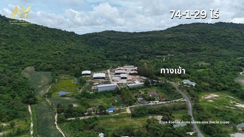 ที่ดิน เมืองระยอง 74-1-29 ไร่, Rayong, สุขุมวิท, Huai Pong, Muang Rayong, Rayong, , 118,916 sqm, Land For Sale, by ณัฎฐ์ ยศขุน, 500507030 - DDproperty.com
