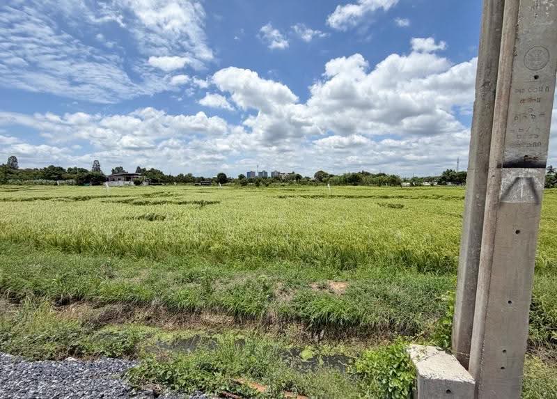 ที่ดินบางใหญ่ นนทบุรี, Nonthaburi, Sao Thong Hin, Bang Yai, Nonthaburi, , 8,000 sqm, Land For Sale, by The Best Property เล็ก, 500507034 - DDproperty.com