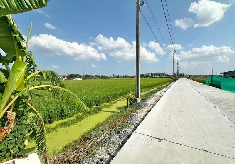 ที่ดินบางใหญ่ นนทบุรี, Nonthaburi, Sao Thong Hin, Bang Yai, Nonthaburi, , 8,000 sqm, Land For Sale, by The Best Property เล็ก, 500507034 - DDproperty.com