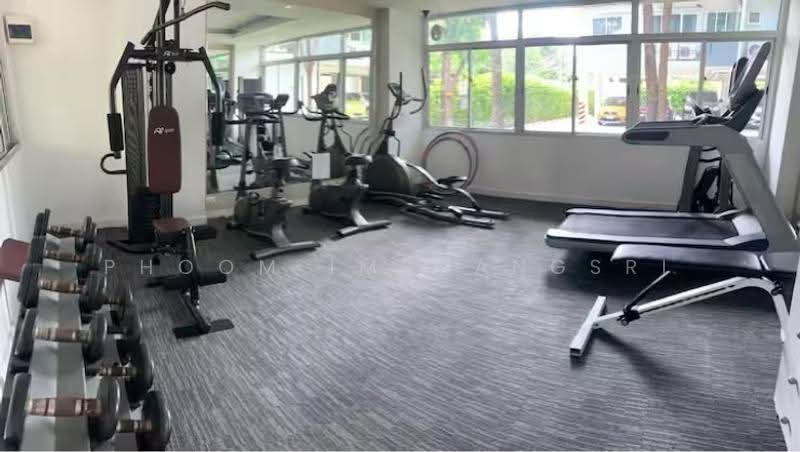 My Condo Sukhumvit 81, Bangkok, Soi Sukhumvit 81 Sukhumvit Road, Bang Chak, Phra Khanong, Bangkok, 1 Bedroom, 35 sqm, Condo For Rent, by Phoom Imruangsri, 500507065 - DDproperty.com