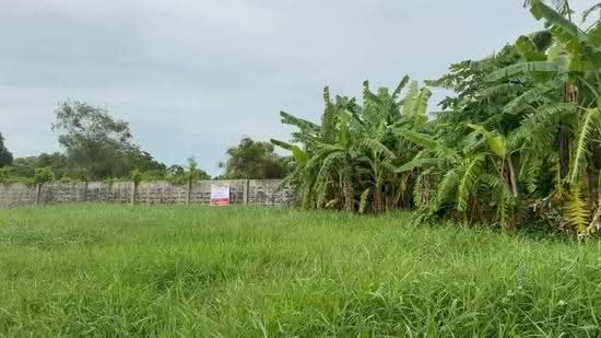 ramintra, Bangkok, Ram Inthra, Khan Na Yao, Bangkok, , 395 sqm, Land For Sale, by Yaowapa Chaopreecha, 500507076 - DDproperty.com