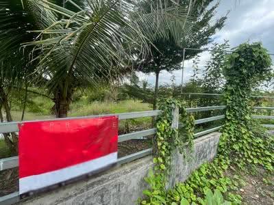 ขาย - ที่ดินป่าซาง ลำพูน, ลำพูน