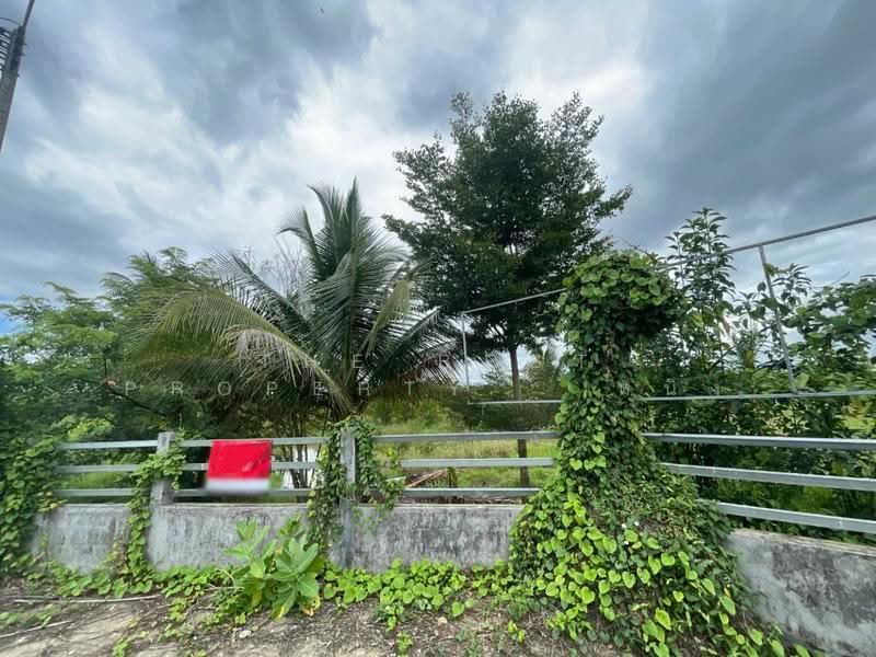 ที่ดินป่าซาง ลำพูน, ลำพูน, ป่าซาง, ลำพูน, 8,396 ตร.ม., ที่ดิน ขาย, โดย The Best Property หนิง, 500507077 - DDproperty.com